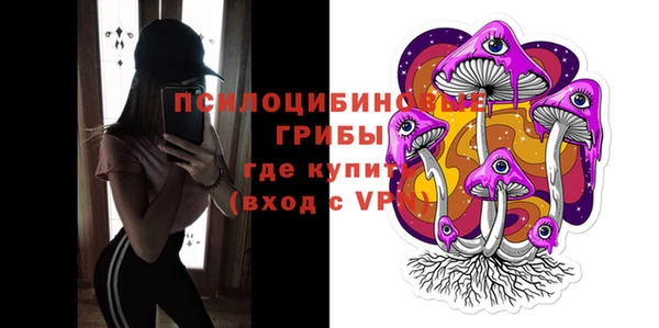 apvp Пестово